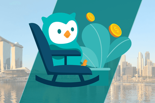MoneyOwl OwlRetirement Planner FAQs