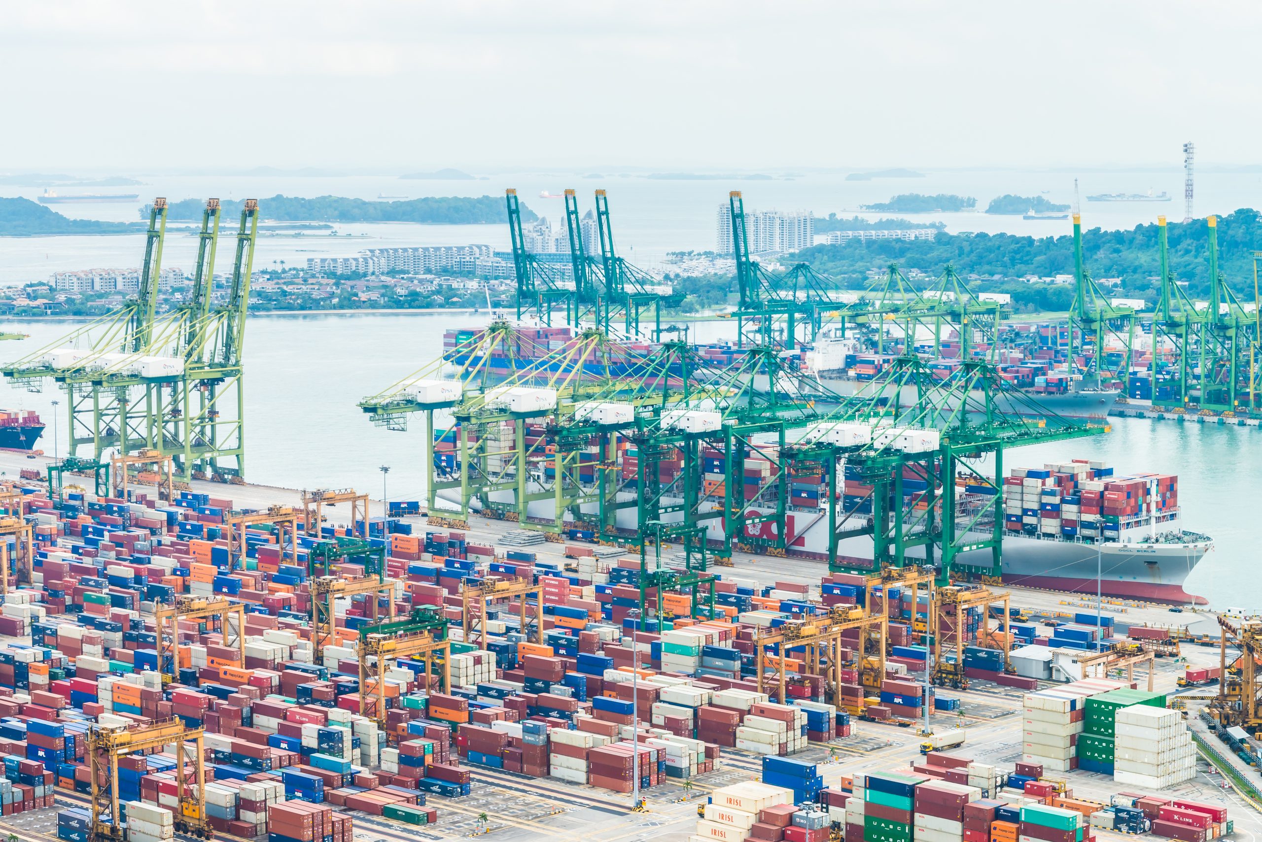 From Global Rules to Local Resilience: Embracing Singapore's Exceptionalism